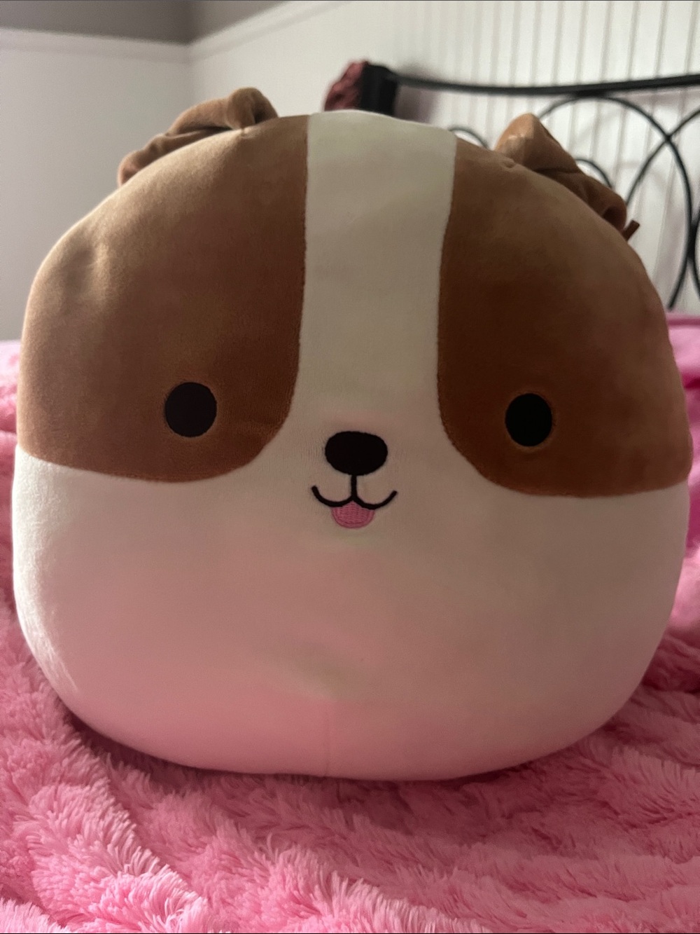 Squishmallows Brenden - 12 inch Plush Brown & White Dog Pillow - Picture 5 of 6